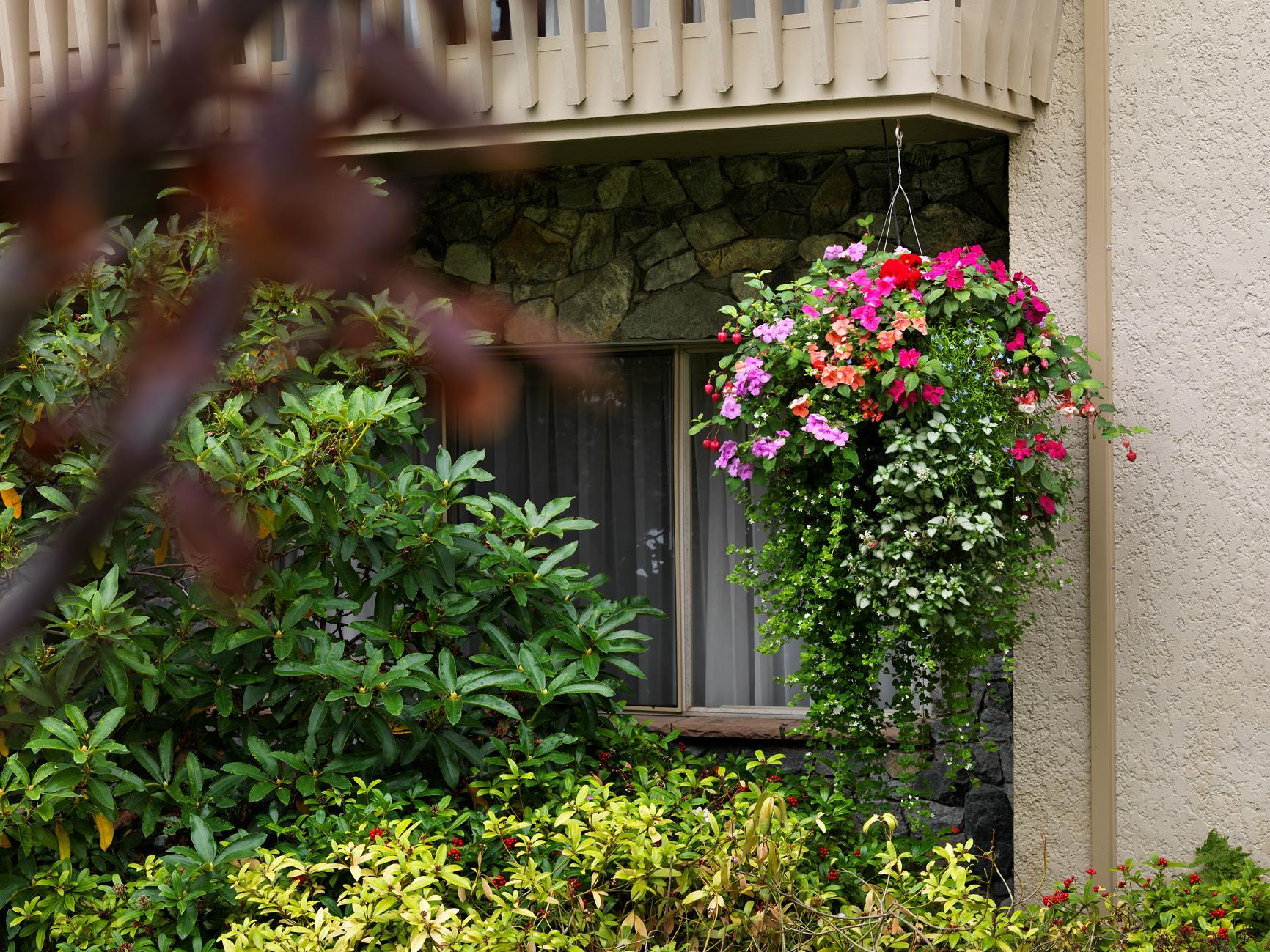 Royal Scot Hotel & Suites Βικτώρια Εξωτερικό φωτογραφία